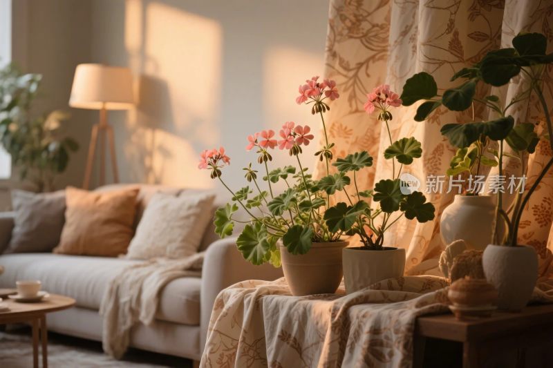 温馨室内绿植布置