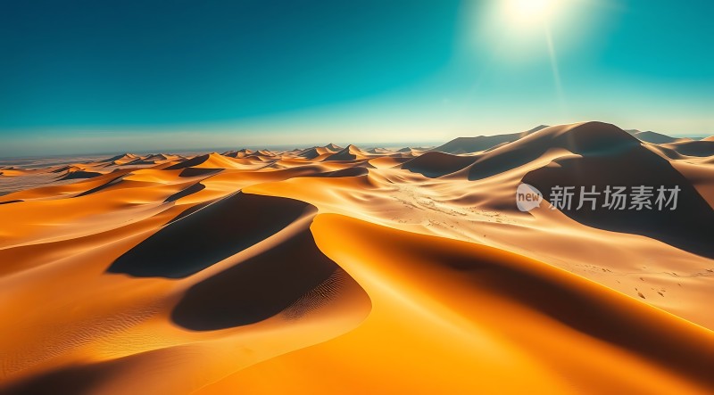 金色沙丘下的阳光之旅