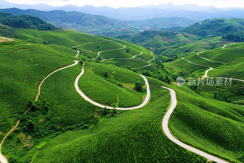 山间蜿蜒公路俯瞰美景