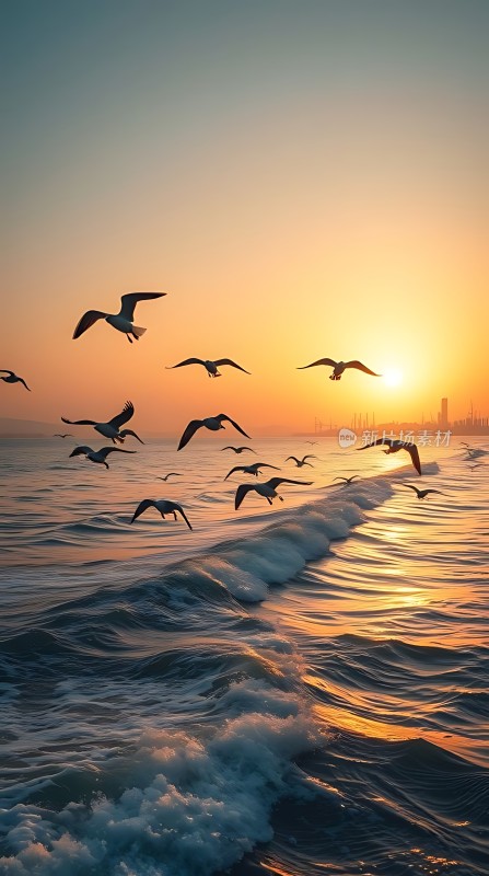 海鸥翱翔日落时分的海洋