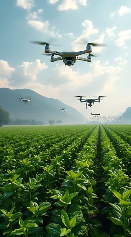 无人机巡田科技助力农业新篇章