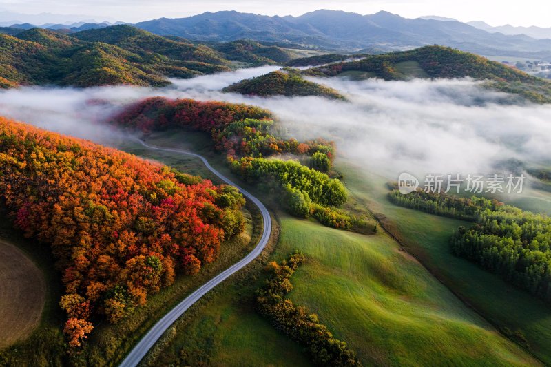 山间秋色公路美景