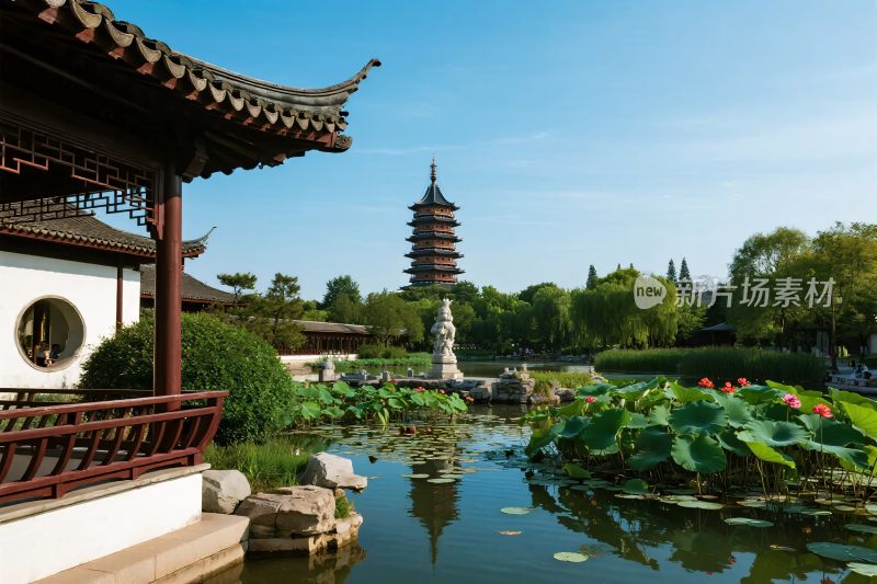 古典园林塔荷塘景