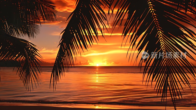 椰林夕阳映海波