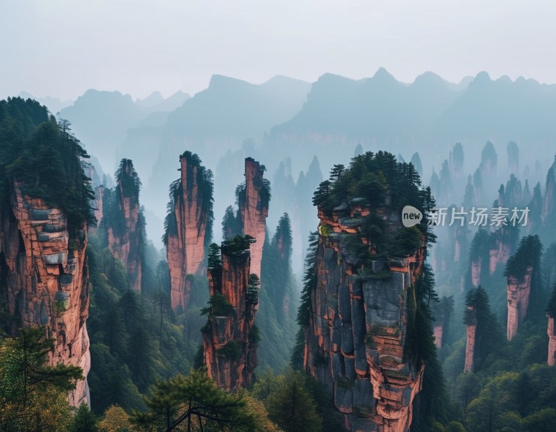 张家界雾中山景