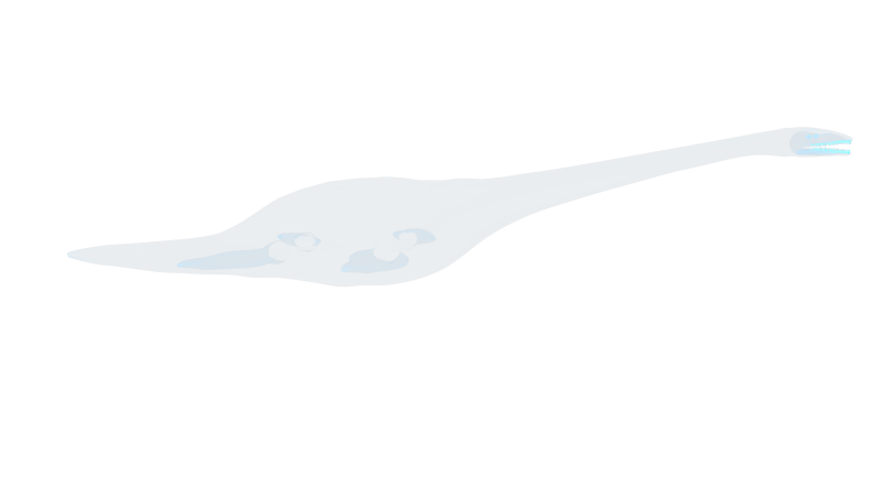 恐龙 Elasmosaurus 薄片龙