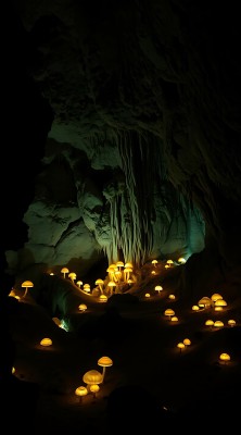 神秘洞穴中的发光蘑菇世界