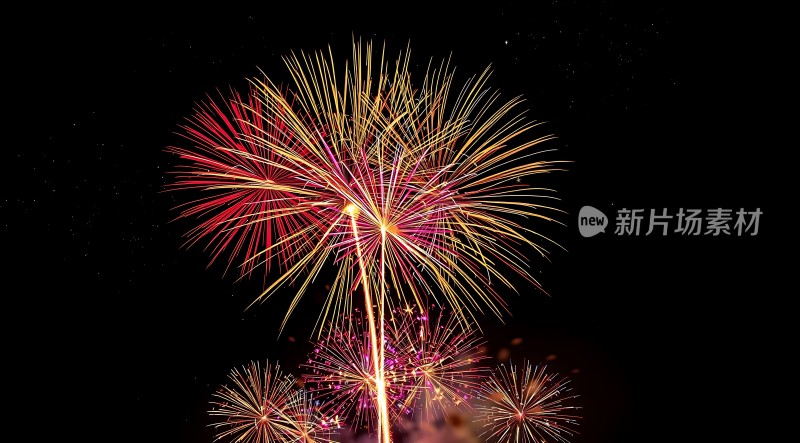 璀璨烟花夜空绽放