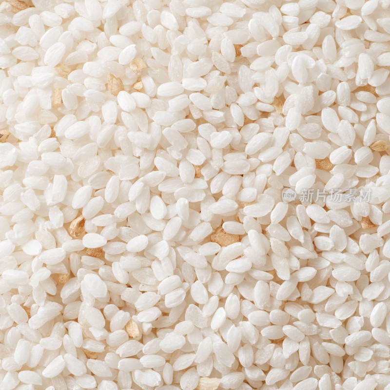 饱满白米粒特写