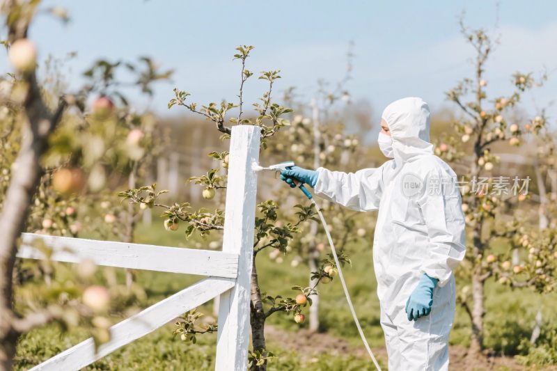 防护服人员果园作业场景