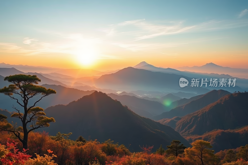 山脉的一棵树夕阳西下高清风景风光图片