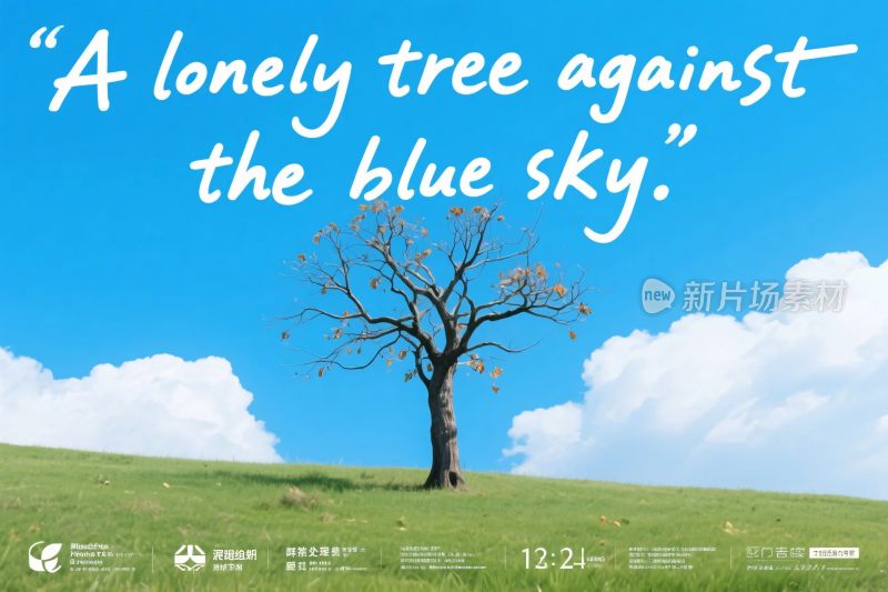 孤独的树与蓝天