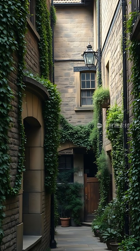 古巷绿意盎然石墙藤蔓缠绕宁静而美丽
