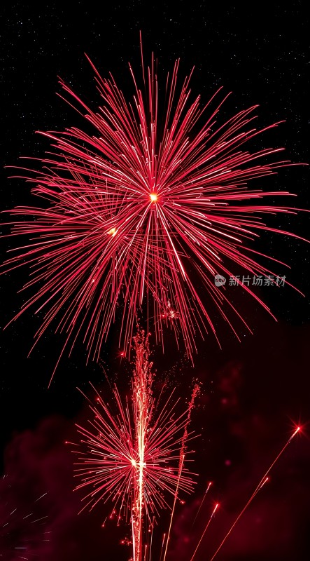 璀璨烟花绽放夜空