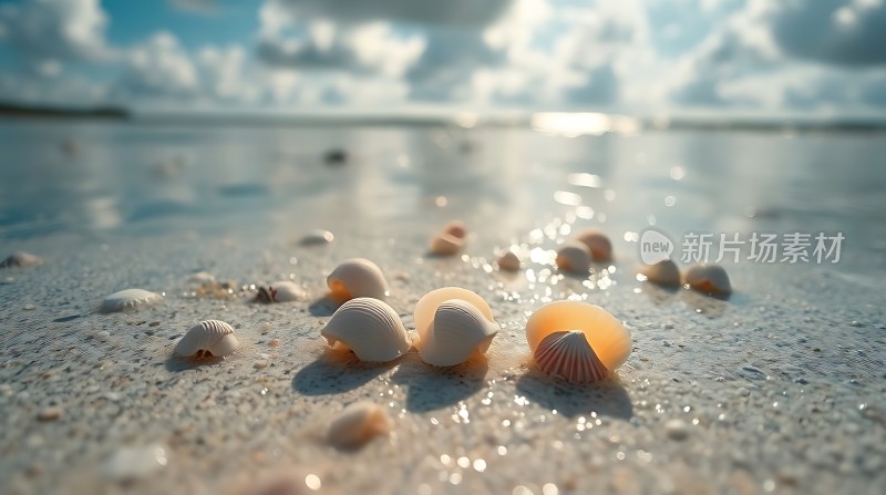 阳光下的贝壳沙滩