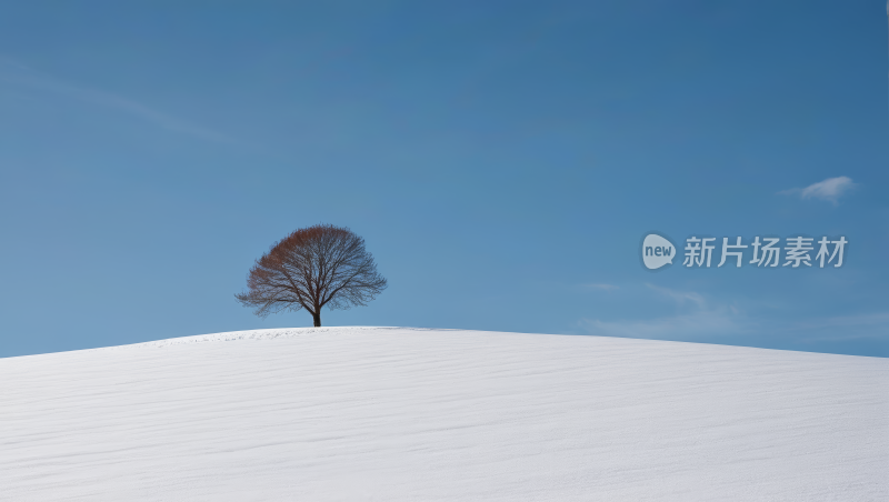 雪山上的一棵孤树高清风景图片