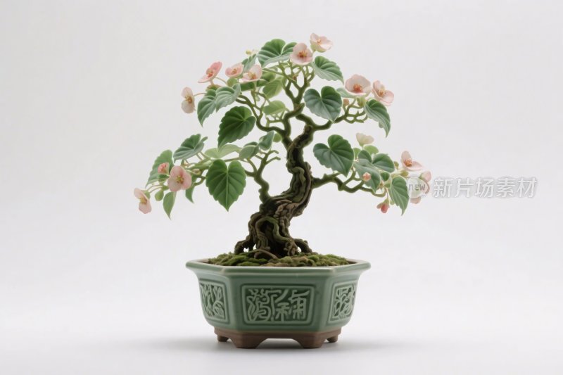 盆栽盆景展示图