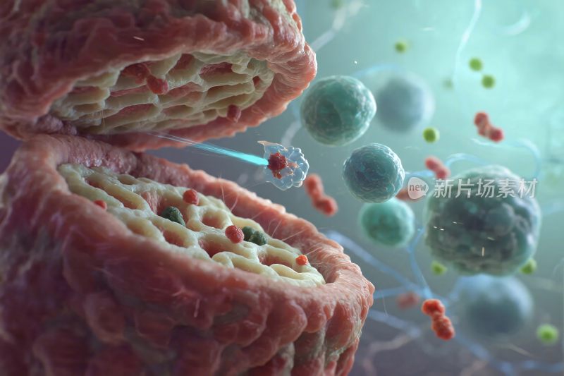 细胞微生物科学插画