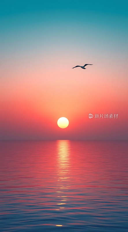 海鸥翱翔日落时分的海洋