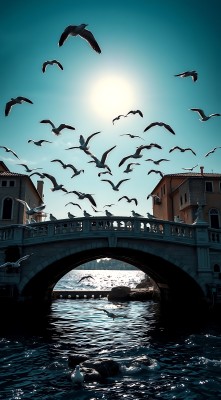 阳光下的桥与飞翔的海鸥