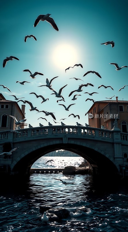 阳光下的桥与飞翔的海鸥