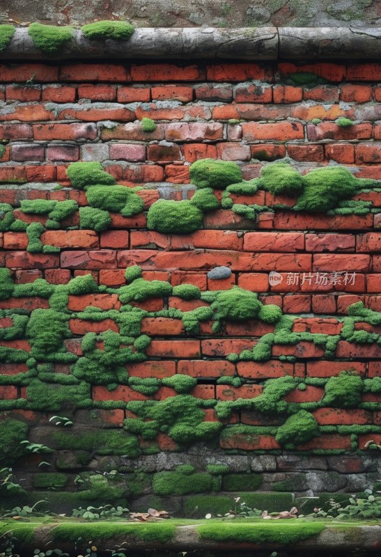 古城青苔老砖墙