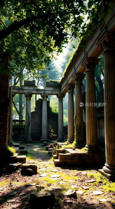 阳光下的古老遗迹