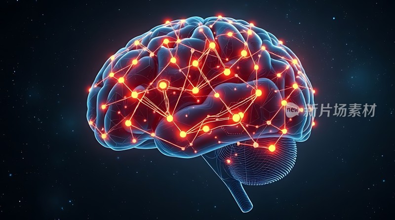 大脑神经元网络