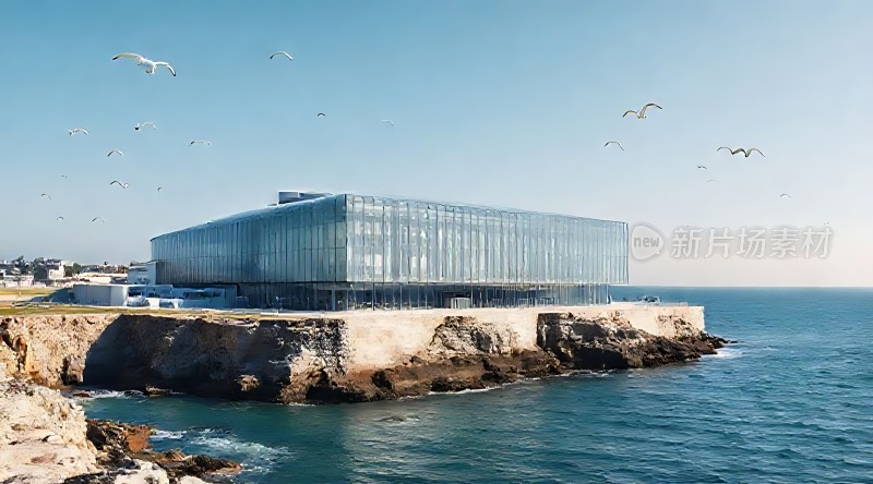 海边的现代建筑与飞翔的海鸥