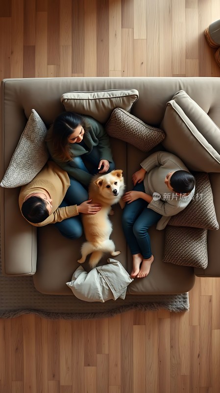 温馨家庭时光狗狗与家人共度美好时光