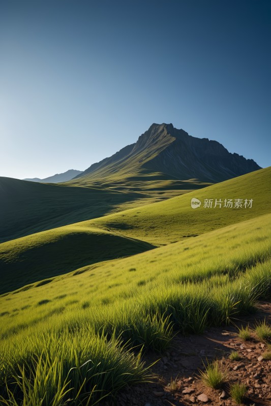 草山远处一座高山图片