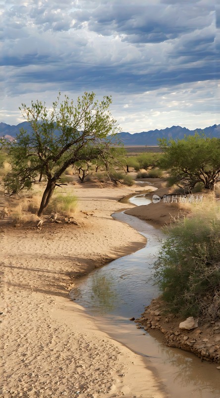 沙漠绿洲生命之泉