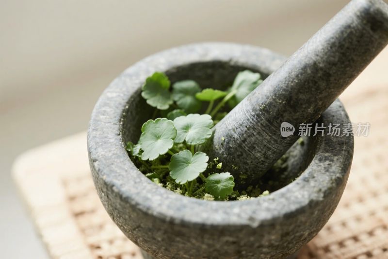 石质研钵与绿叶植物