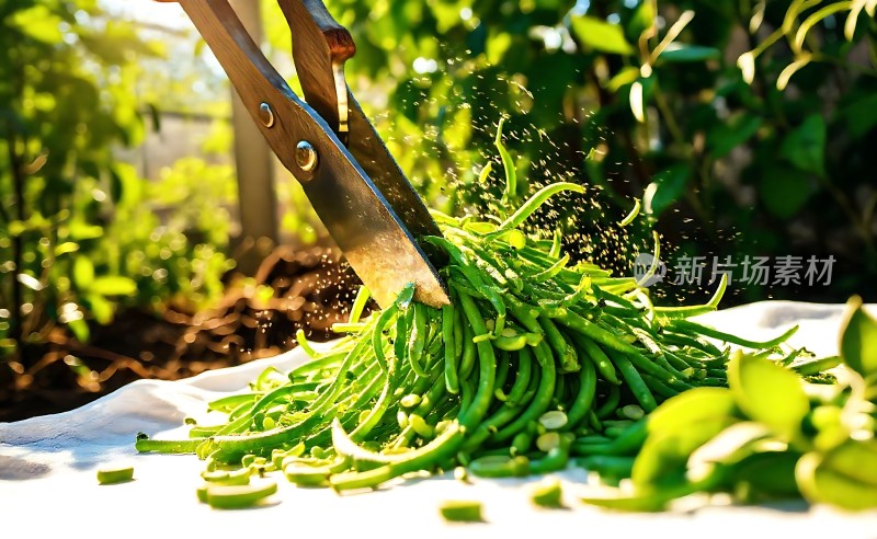 剪刀剪豆角