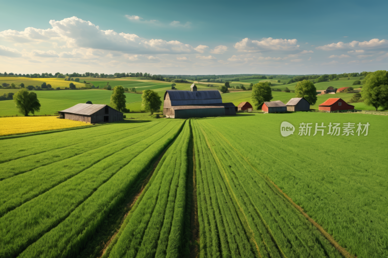 农场绿地和谷仓的草图风光风景图片