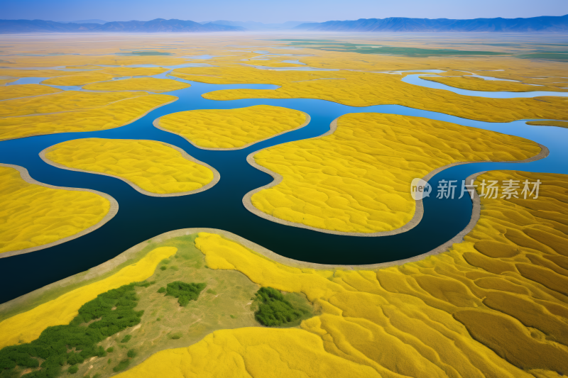 一条河流穿过黄色田野的草图高清背景图片