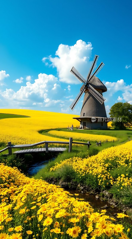 风车花海田园风光