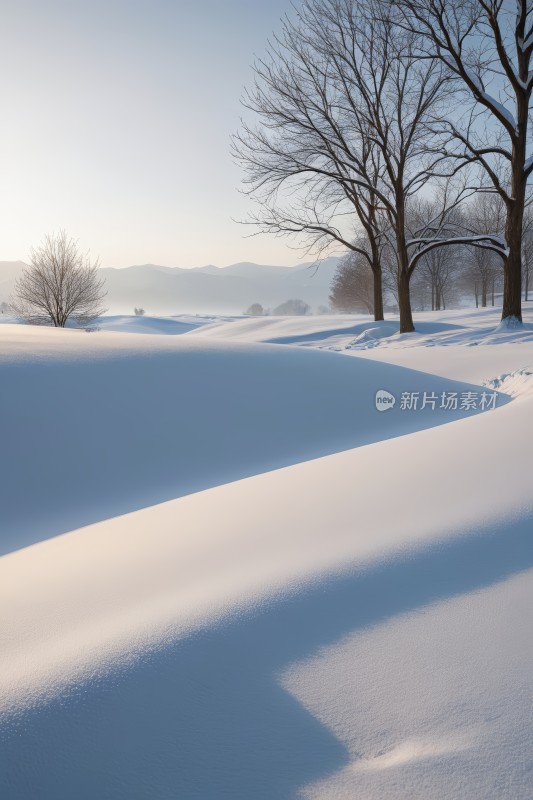 雪景中间有树木和长凳高清风景图片