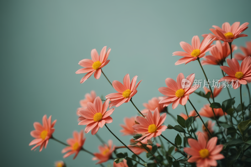 桌子上的花瓶里有许多粉红色的花高清图片