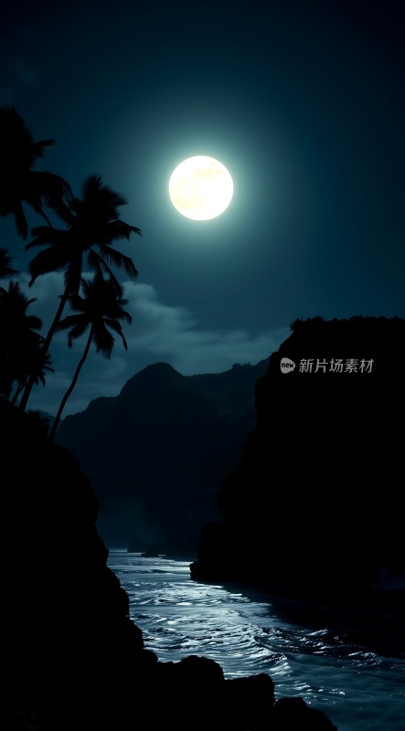 椰林夜月映波光