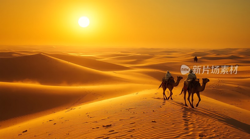 驼队穿越金色沙漠夕阳下的旅程