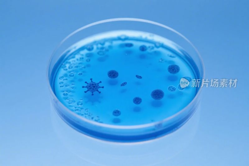 蓝色培养皿微生物示意图