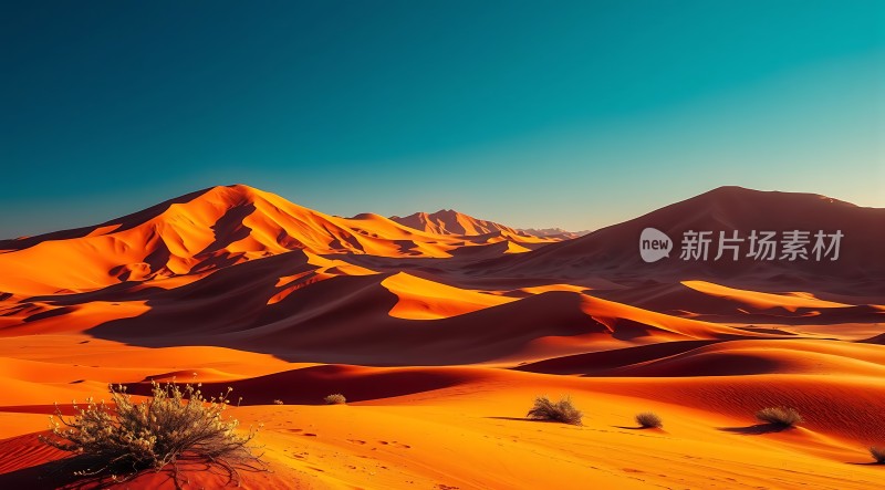 金色沙丘下的静谧黄昏