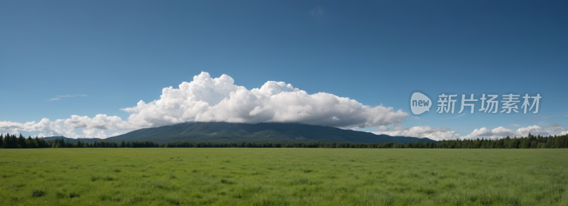 一大片田野一座高山清风景横幅图片