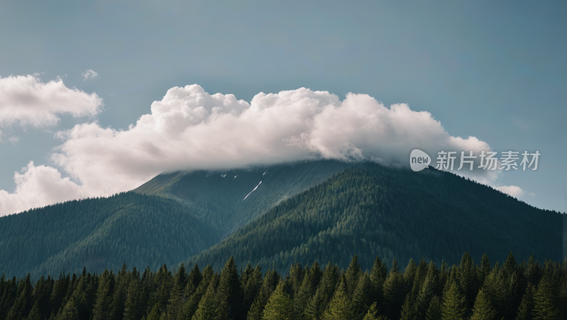 一座有森林和云的高山清风景图片