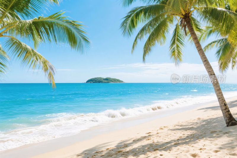 热带海滩风景图