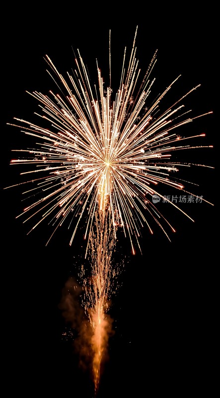 璀璨烟花绽放夜空