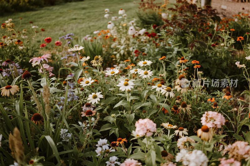 自然花丛风景图