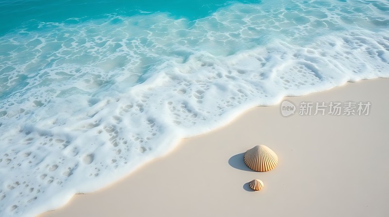 碧海沙滩贝壳梦