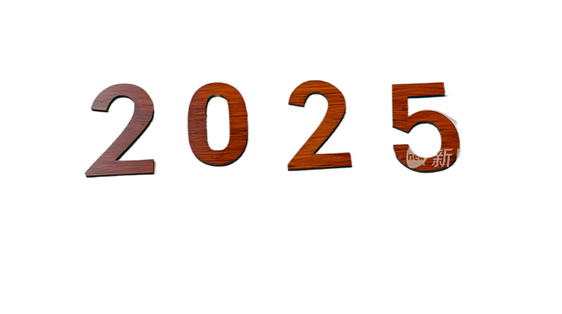 代表2025年木制数字